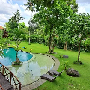 Tree House , Ubud (Bali) Indonesia